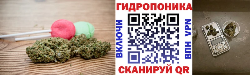 где купить наркоту  Камызяк  Еда ТГК конопля 