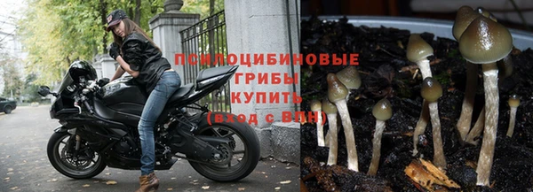 индика Алексин