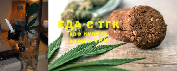 индика Алексин