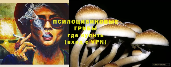 мяу мяу мука Абаза